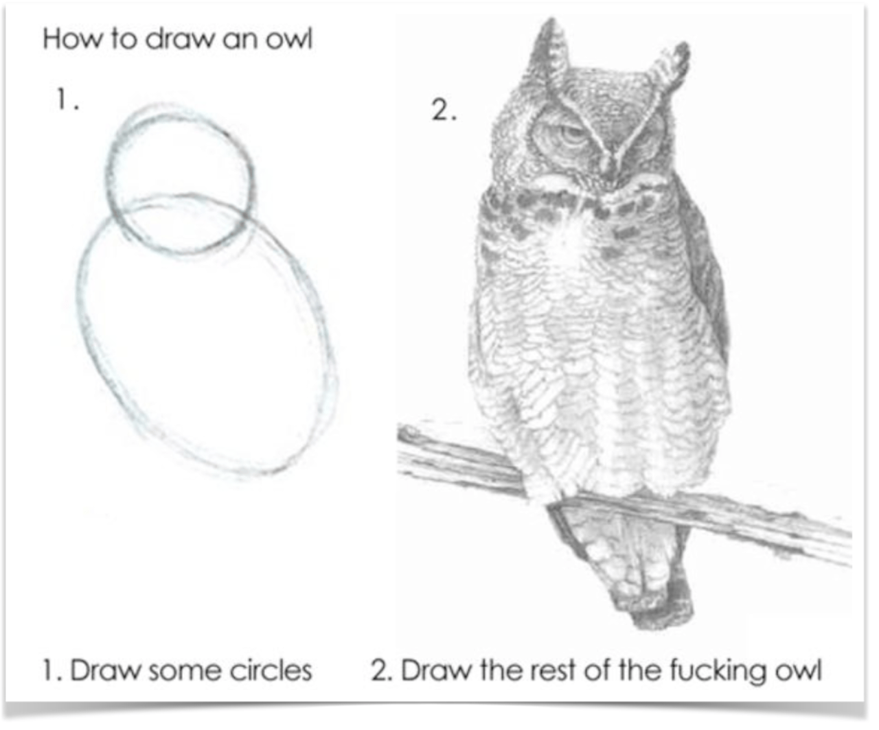 how to draw an owl meme